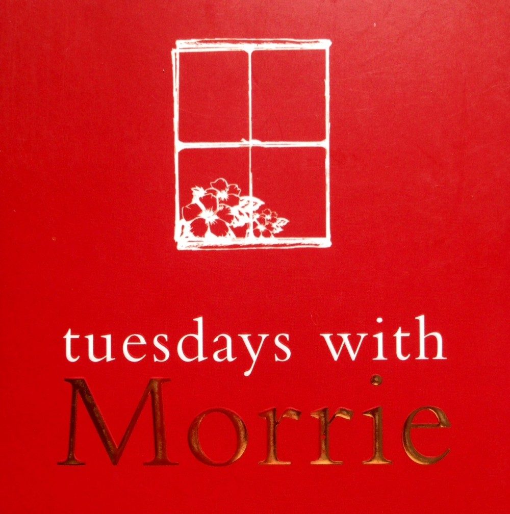 TUESDAY'S WITH MORRIES!